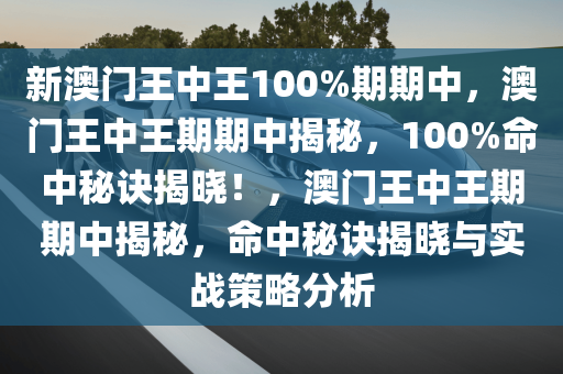 新澳门王中王100%期期中,全面释义、解释与落实