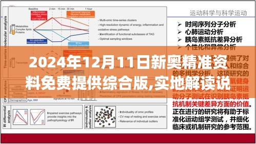 新澳2025精准正版免費資料,全面释义、解释与落实