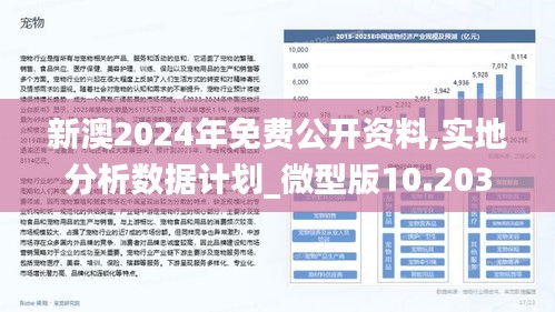 2025新澳精准免费大全，精选解析解释落实