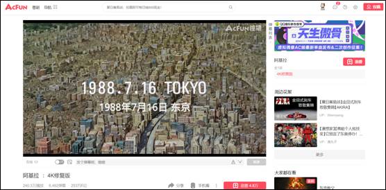 精准解析一肖一码一孑一特一中，全面释义解释落实