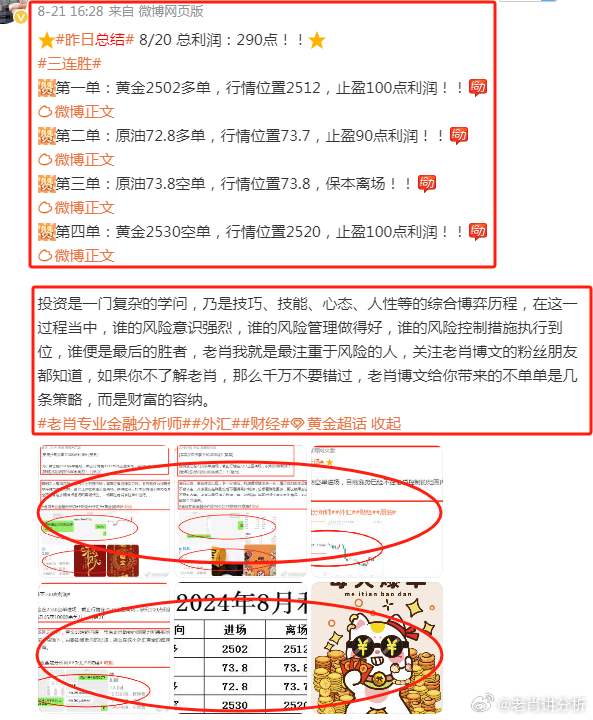 澳门管家婆，精准预测的实用释义与落实