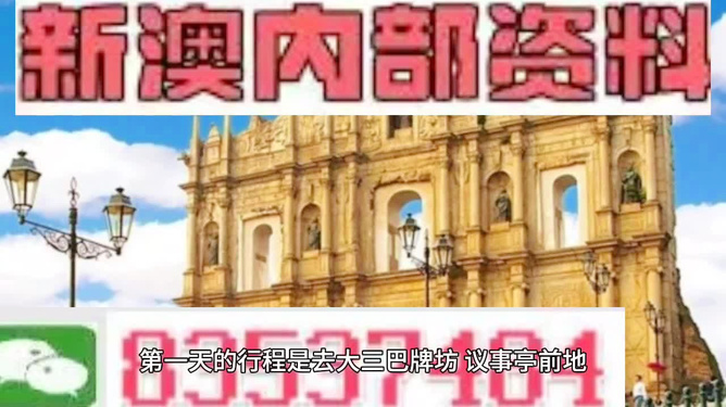 新澳门内部精准公开，精选解析与解释落实的深度探讨