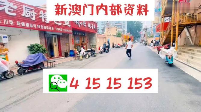 新2025年澳门天天开好彩，精选解析解释落实