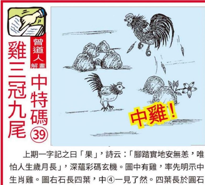 澳门资料大全,正版资料查询2025，精选解析解释落实