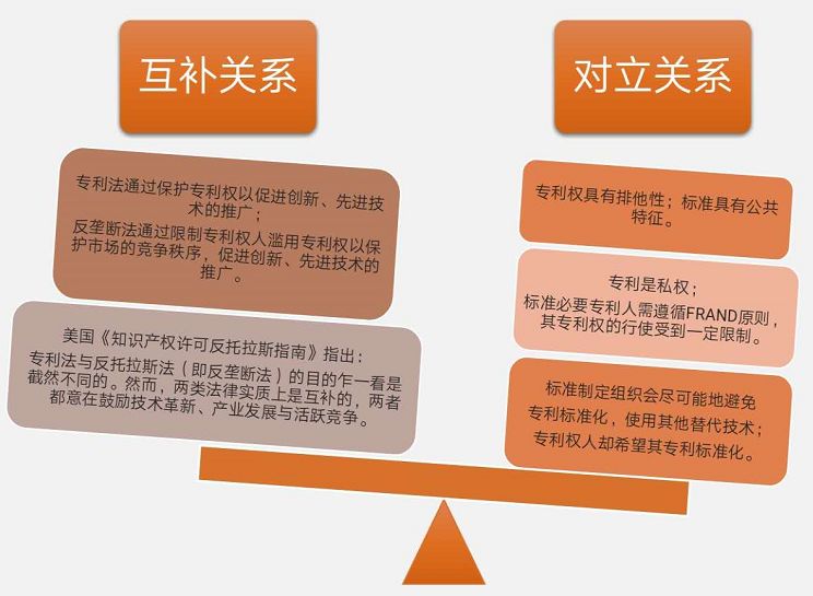 2025澳门今晚必开一肖，精选解析与科学预测