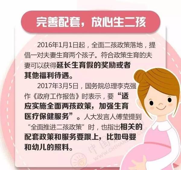 澳门天天免费精准大全，全面释义、解释与落实