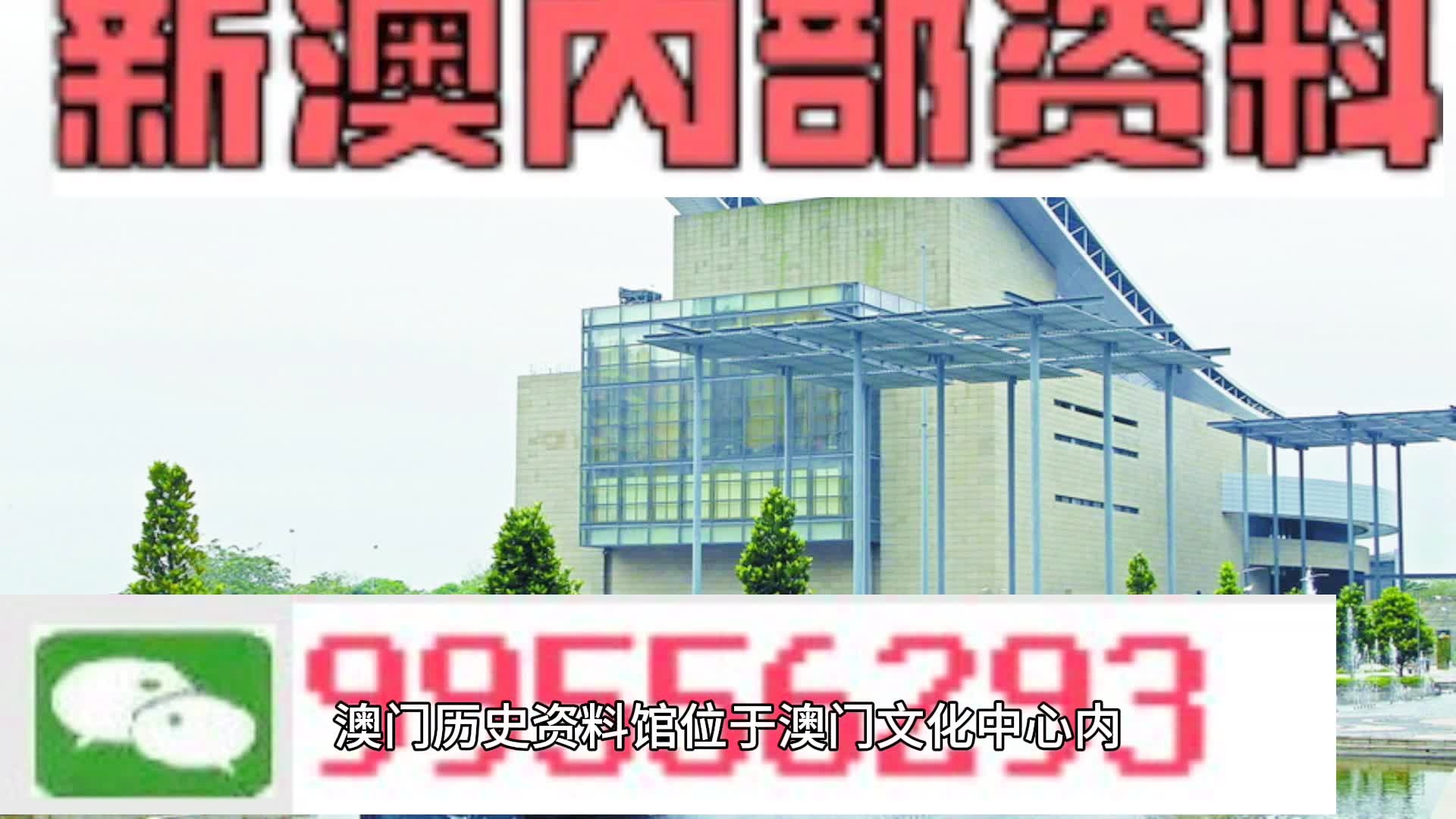 2025年新澳门王中王资料199期，精选解析与解释落实
