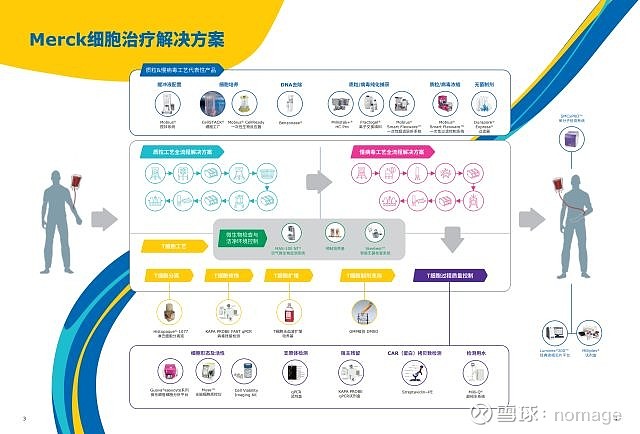 精准医疗的未来，新奥全年免费自动精准大全的精选解析与实施路径