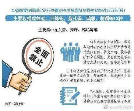 勇往直前 第25页
