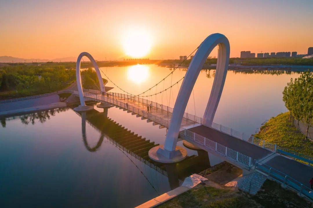 2025今晚9点30开什么生肖明，精选解析解释落实