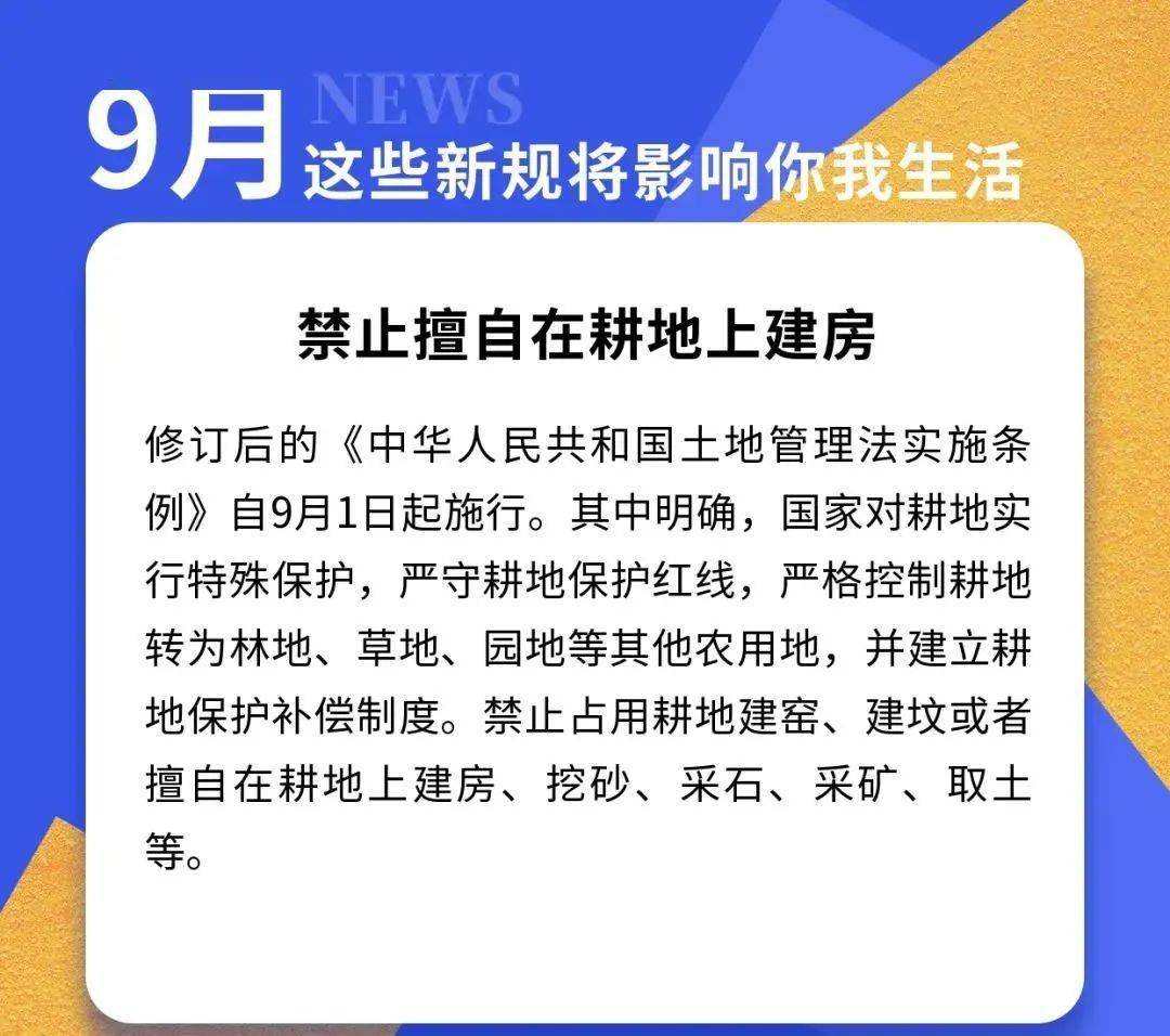 澳门9点35开的是什么六下，实用释义解释落实