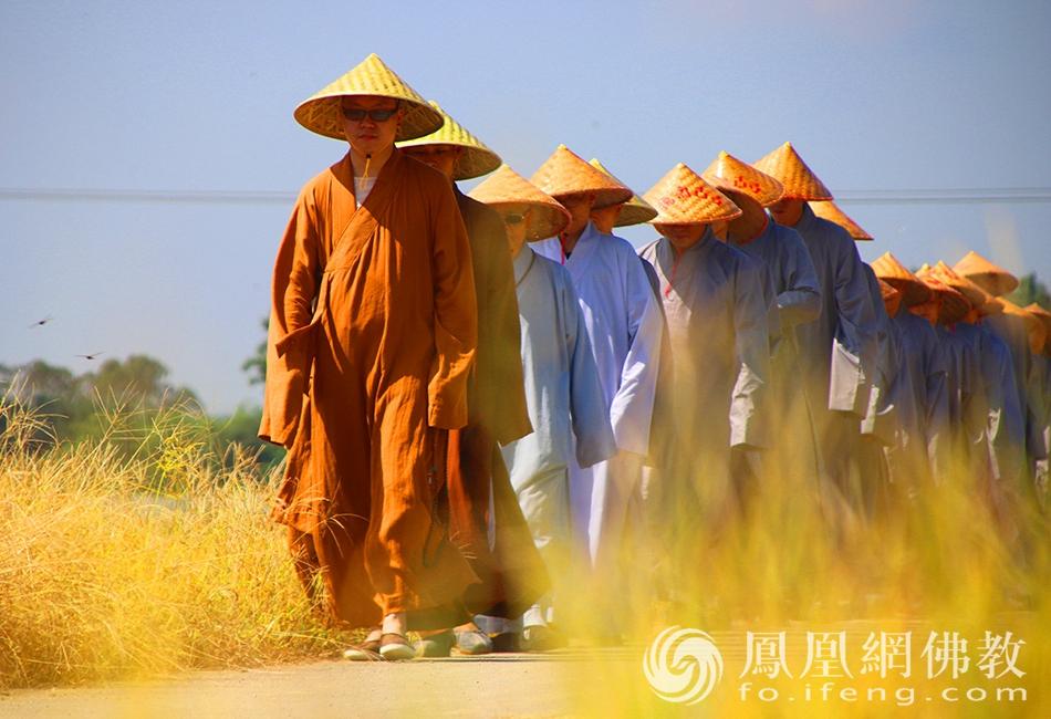 最准一码一肖与凤凰网，精选解析解释落实
