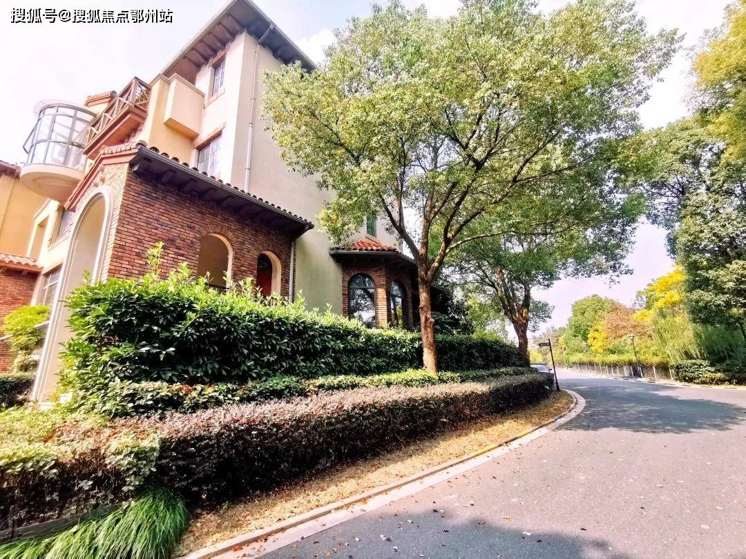 新澳门彩历史开奖记录，全面释义解释落实