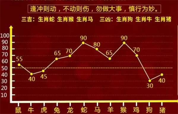 婆家一肖一码100，全面释义解释落实